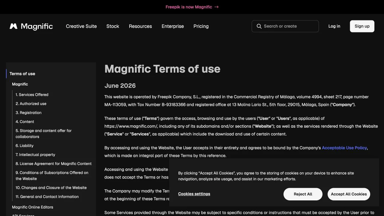 Скриншот условий использования Magnific